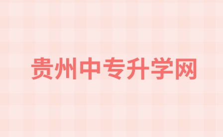 中专学历怎么查询？一篇详细的指南带你揭开迷雾！