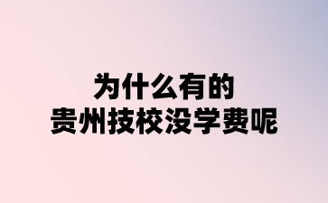 为什么有的贵州技校没学费呢?